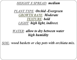 HEIGHT X SPREAD: medium

PLANT TYPE: Orchid -Evergreen
GROWTH RATE: Moderate
TEXTURE: bold
LIGHT: high light, indirect.

WATER: allow to dry between water
high humidity 

SOIL: wood baskets or clay pots with orchiata mix.
