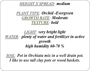 HEIGHT X SPREAD: medium

PLANT TYPE: Orchid -Evergreen
GROWTH RATE: Moderate
TEXTURE: bold

LIGHT: very bright light
WATER:  plenty of water and fertilizer in active growth
high humidity 60-70 %

SOIL: Pot in Orchiata mix in a well drain pot.
I like to use tall clay pots or wood baskets. 
