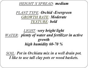 HEIGHT X SPREAD: medium

PLANT TYPE: Orchid -Evergreen
GROWTH RATE: Moderate
TEXTURE: bold

LIGHT: very bright light
WATER:  plenty of water and fertilizer in active growth
high humidity 60-70 %

SOIL: Pot in Orchiata mix in a well drain pot.
I like to use tall clay pots or wood baskets. 
