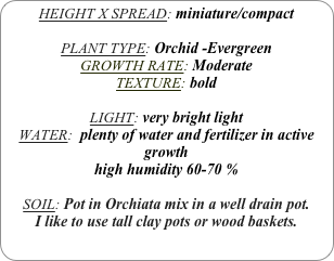 HEIGHT X SPREAD: miniature/compact

PLANT TYPE: Orchid -Evergreen
GROWTH RATE: Moderate
TEXTURE: bold

LIGHT: very bright light
WATER:  plenty of water and fertilizer in active growth
high humidity 60-70 %

SOIL: Pot in Orchiata mix in a well drain pot.
I like to use tall clay pots or wood baskets. 
