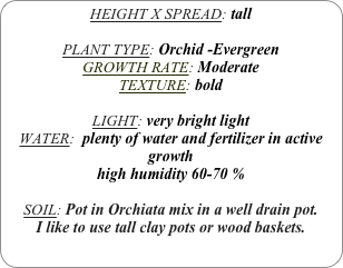 HEIGHT X SPREAD: tall

PLANT TYPE: Orchid -Evergreen
GROWTH RATE: Moderate
TEXTURE: bold

LIGHT: very bright light
WATER:  plenty of water and fertilizer in active growth
high humidity 60-70 %

SOIL: Pot in Orchiata mix in a well drain pot.
I like to use tall clay pots or wood baskets. 
