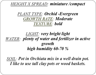 HEIGHT X SPREAD: miniature /compact

PLANT TYPE: Orchid -Evergreen
GROWTH RATE: Moderate
TEXTURE: bold

LIGHT: very bright light
WATER:  plenty of water and fertilizer in active growth
high humidity 60-70 %

SOIL: Pot in Orchiata mix in a well drain pot.
I like to use tall clay pots or wood baskets. 

