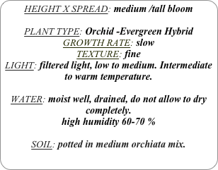 HEIGHT X SPREAD: medium /tall bloom

PLANT TYPE: Orchid -Evergreen Hybrid
GROWTH RATE: slow
TEXTURE: fine
LIGHT: filtered light, low to medium. Intermediate to warm temperature.

WATER: moist well, drained, do not allow to dry completely.
high humidity 60-70 %

SOIL: potted in medium orchiata mix.
