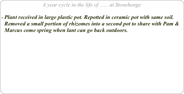 A year cycle in the life of ...... at Stonehenge

Plant received in large plastic pot. Repotted in ceramic pot with same soil. Removed a small portion of rhizomes into a second pot to share with Pam & Marcus come spring when lant can go back outdoors.

