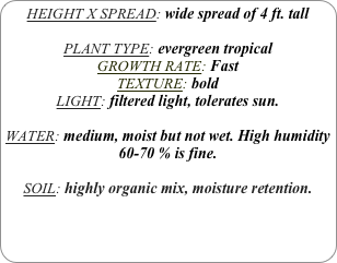 HEIGHT X SPREAD: wide spread of 4 ft. tall

PLANT TYPE: evergreen tropical
GROWTH RATE: Fast
TEXTURE: bold
LIGHT: filtered light, tolerates sun.

WATER: medium, moist but not wet. High humidity 60-70 % is fine.

SOIL: highly organic mix, moisture retention.

