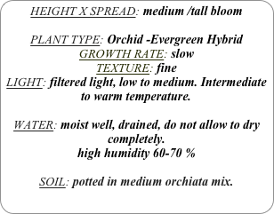 HEIGHT X SPREAD: medium /tall bloom

PLANT TYPE: Orchid -Evergreen Hybrid
GROWTH RATE: slow
TEXTURE: fine
LIGHT: filtered light, low to medium. Intermediate to warm temperature.

WATER: moist well, drained, do not allow to dry completely.
high humidity 60-70 %

SOIL: potted in medium orchiata mix.
