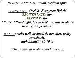 HEIGHT X SPREAD: small/ medium spike

PLANT TYPE: Orchid -Evergreen Hybrid
GROWTH RATE: slow
TEXTURE: fine
LIGHT: filtered light, low to medium. Intermediate to warm temperature.

WATER: moist well, drained, do not allow to dry completely.
high humidity 60-70 %

SOIL: potted in medium orchiata mix.

