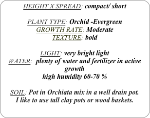 HEIGHT X SPREAD: compact/ short

PLANT TYPE: Orchid -Evergreen
GROWTH RATE: Moderate
TEXTURE: bold

LIGHT: very bright light
WATER:  plenty of water and fertilizer in active growth
high humidity 60-70 %

SOIL: Pot in Orchiata mix in a well drain pot.
I like to use tall clay pots or wood baskets. 
