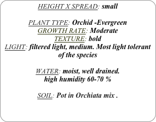 HEIGHT X SPREAD: small

PLANT TYPE: Orchid -Evergreen
GROWTH RATE: Moderate
TEXTURE: bold
LIGHT: filtered light, medium. Most light tolerant of the species

WATER: moist, well drained. 
high humidity 60-70 %

SOIL: Pot in Orchiata mix .
