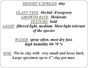 HEIGHT X SPREAD: tiny

PLANT TYPE: Orchid -Evergreen
GROWTH RATE: Moderate
TEXTURE: bold
LIGHT: filtered light, medium. Most light tolerant of the species

WATER: spray often, most dry fast.
high humidity 60-70 %

SOIL: Pot in clay with  very small and loose bark.
Large specimen up to 4” clay pot max. 
