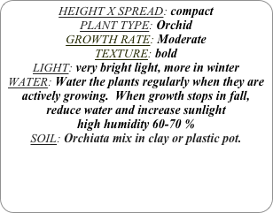 HEIGHT X SPREAD: compact
PLANT TYPE: Orchid 
GROWTH RATE: Moderate
TEXTURE: bold
LIGHT: very bright light, more in winter
WATER: Water the plants regularly when they are actively growing.  When growth stops in fall, reduce water and increase sunlight
high humidity 60-70 %
SOIL: Orchiata mix in clay or plastic pot.
