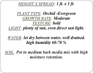 HEIGHT X SPREAD: 1 ft. x 1 ft.

PLANT TYPE: Orchid -Evergreen
GROWTH RATE: Moderate
TEXTURE: bold
LIGHT: plenty of sun, even direct sun light.

WATER: let dry between water, well drained. 
high humidity 60-70 %

SOIL: Pot in medium bark media mix with high moisture retention.
