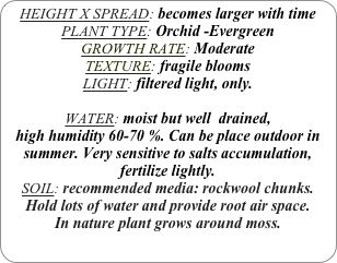 HEIGHT X SPREAD: becomes larger with time
PLANT TYPE: Orchid -Evergreen
GROWTH RATE: Moderate
TEXTURE: fragile blooms
LIGHT: filtered light, only.

WATER: moist but well  drained, 
high humidity 60-70 %. Can be place outdoor in summer. Very sensitive to salts accumulation, fertilize lightly.
SOIL: recommended media: rockwool chunks.
Hold lots of water and provide root air space.
In nature plant grows around moss.
