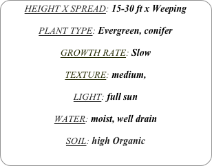 HEIGHT X SPREAD: 15-30 ft x Weeping

PLANT TYPE: Evergreen, conifer

GROWTH RATE: Slow

TEXTURE: medium, 

LIGHT: full sun

WATER: moist, well drain

SOIL: high Organic
