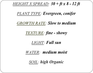 HEIGHT X SPREAD: 30 + ft x 8 - 12 ft

PLANT TYPE: Evergreen, conifer

GROWTH RATE: Slow to medium

TEXTURE: fine - showy

LIGHT: Full sun

WATER:  medium moist

SOIL: high Organic
