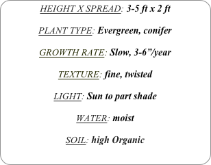 HEIGHT X SPREAD: 3-5 ft x 2 ft

PLANT TYPE: Evergreen, conifer

GROWTH RATE: Slow, 3-6”/year

TEXTURE: fine, twisted

LIGHT: Sun to part shade

WATER: moist

SOIL: high Organic

