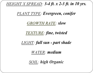 HEIGHT X SPREAD: 3-4 ft. x 2-3 ft. in 10 yrs.

PLANT TYPE: Evergreen, conifer

GROWTH RATE: slow

TEXTURE: fine, twisted

LIGHT: full sun - part shade

WATER: medium

SOIL: high Organic
