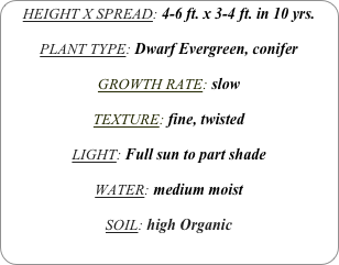 HEIGHT X SPREAD: 4-6 ft. x 3-4 ft. in 10 yrs.

PLANT TYPE: Dwarf Evergreen, conifer

GROWTH RATE: slow

TEXTURE: fine, twisted

LIGHT: Full sun to part shade

WATER: medium moist

SOIL: high Organic
