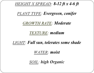 HEIGHT X SPREAD: 8-12 ft x 4-6 ft

PLANT TYPE: Evergreen, conifer

GROWTH RATE: Moderate

TEXTURE: medium

LIGHT: Full sun, tolerates some shade

WATER: moist

SOIL: high Organic
