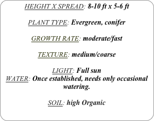 HEIGHT X SPREAD: 8-10 ft x 5-6 ft

PLANT TYPE: Evergreen, conifer

GROWTH RATE: moderate/fast

TEXTURE: medium/coarse

LIGHT: Full sun
WATER: Once established, needs only occasional watering.

SOIL: high Organic
