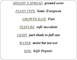 HEIGHT X SPREAD: ground cover

PLANT TYPE: Semi- Evergreen

GROWTH RATE: Fast

TEXTURE: soft/ succulent

LIGHT: part shade to full sun

WATER: moist but not wet

SOIL: high Organic
