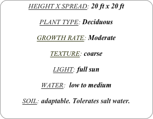 HEIGHT X SPREAD: 20 ft x 20 ft

PLANT TYPE: Deciduous

GROWTH RATE: Moderate

TEXTURE: coarse

LIGHT: full sun

WATER:  low to medium

SOIL: adaptable. Tolerates salt water.
