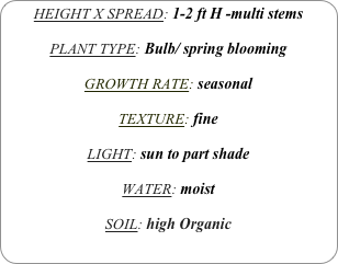 HEIGHT X SPREAD: 1-2 ft H -multi stems

PLANT TYPE: Bulb/ spring blooming

GROWTH RATE: seasonal

TEXTURE: fine

LIGHT: sun to part shade

WATER: moist

SOIL: high Organic
