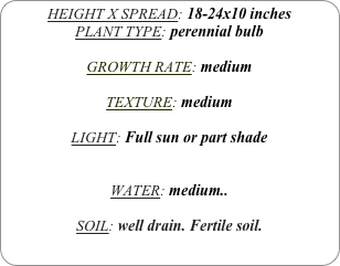 HEIGHT X SPREAD: 18-24x10 inches
PLANT TYPE: perennial bulb

GROWTH RATE: medium

TEXTURE: medium

LIGHT: Full sun or part shade


WATER: medium..

SOIL: well drain. Fertile soil.
