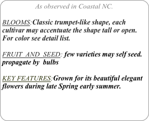 As observed in Coastal NC.

BLOOMS:Classic trumpet-like shape, each cultivar may accentuate the shape tall or open. For color see detail list.

FRUIT  AND  SEED: few varieties may self seed. propagate by  bulbs

KEY FEATURES:Grown for its beautiful elegant flowers during late Spring early summer.