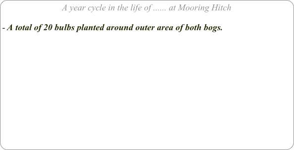 A year cycle in the life of ...... at Mooring Hitch

A total of 20 bulbs planted around outer area of both bogs.

