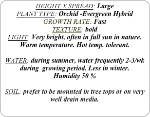 HEIGHT X SPREAD: Large
PLANT TYPE: Orchid -Evergreen Hybrid
GROWTH RATE: Fast
TEXTURE: bold
LIGHT: Very bright, often in full sun in nature. Warm temperature. Hot temp. tolerant.

WATER: during summer, water frequently 2-3/wk during  growing period. Less in winter.
Humidity 50 %

SOIL: prefer to be mounted in tree tops or on very well drain media.
