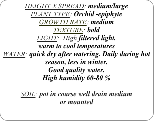 HEIGHT X SPREAD: medium/large 
PLANT TYPE: Orchid -epiphyte
GROWTH RATE: medium
TEXTURE: bold
LIGHT:  High filtered light.
warm to cool temperatures
WATER: quick dry after watering. Daily during hot season, less in winter.
Good quality water.
High humidity 60-80 %

SOIL: pot in coarse well drain medium 
or mounted
