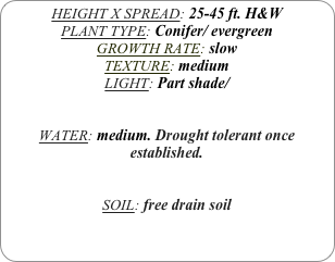 HEIGHT X SPREAD: 25-45 ft. H&W
PLANT TYPE: Conifer/ evergreen
GROWTH RATE: slow
TEXTURE: medium
LIGHT: Part shade/ 


WATER: medium. Drought tolerant once established.


SOIL: free drain soil 
