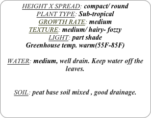 HEIGHT X SPREAD: compact/ round
PLANT TYPE: Sub-tropical
GROWTH RATE: medium
TEXTURE: medium/ hairy- fozzy
LIGHT: part shade
Greenhouse temp. warm(55F-85F)

WATER: medium, well drain. Keep water off the leaves.


SOIL: peat base soil mixed , good drainage.