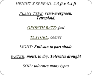 HEIGHT X SPREAD: 2-3 ft x 3-4 ft

PLANT TYPE: semi-evergreen.
Tetraploid.

GROWTH RATE: fast

TEXTURE: coarse

LIGHT: Full sun to part shade

WATER: moist, to dry. Tolerates drought

SOIL: tolerates many types
