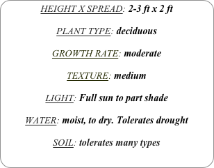 HEIGHT X SPREAD: 2-3 ft x 2 ft

PLANT TYPE: deciduous

GROWTH RATE: moderate

TEXTURE: medium 

LIGHT: Full sun to part shade

WATER: moist, to dry. Tolerates drought

SOIL: tolerates many types
