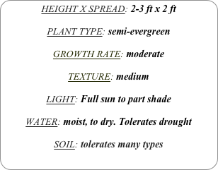 HEIGHT X SPREAD: 2-3 ft x 2 ft

PLANT TYPE: semi-evergreen

GROWTH RATE: moderate

TEXTURE: medium 

LIGHT: Full sun to part shade

WATER: moist, to dry. Tolerates drought

SOIL: tolerates many types
