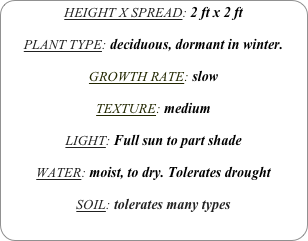 HEIGHT X SPREAD: 2 ft x 2 ft

PLANT TYPE: deciduous, dormant in winter.

GROWTH RATE: slow

TEXTURE: medium 

LIGHT: Full sun to part shade

WATER: moist, to dry. Tolerates drought

SOIL: tolerates many types
