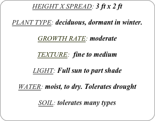 HEIGHT X SPREAD: 3 ft x 2 ft

PLANT TYPE: deciduous, dormant in winter.

GROWTH RATE: moderate

TEXTURE:  fine to medium 

LIGHT: Full sun to part shade

WATER: moist, to dry. Tolerates drought

SOIL: tolerates many types

