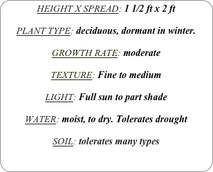 HEIGHT X SPREAD: 1 1/2 ft x 2 ft

PLANT TYPE: deciduous, dormant in winter.

GROWTH RATE: moderate

TEXTURE: Fine to medium

LIGHT: Full sun to part shade

WATER: moist, to dry. Tolerates drought

SOIL: tolerates many types
