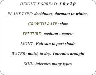 HEIGHT X SPREAD: 3 ft x 2 ft

PLANT TYPE: deciduous, dormant in winter.

GROWTH RATE: slow

TEXTURE: medium - coarse

LIGHT: Full sun to part shade

WATER: moist, to dry. Tolerates drought

SOIL: tolerates many types
