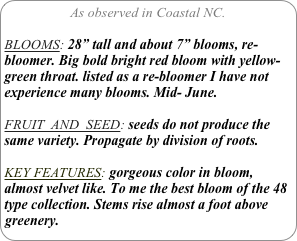 As observed in Coastal NC.

BLOOMS: 28” tall and about 7” blooms, re-bloomer. Big bold bright red bloom with yellow-green throat. listed as a re-bloomer I have not experience many blooms. Mid- June.

FRUIT  AND  SEED: seeds do not produce the same variety. Propagate by division of roots.

KEY FEATURES: gorgeous color in bloom, almost velvet like. To me the best bloom of the 48 type collection. Stems rise almost a foot above greenery.