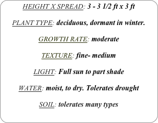 HEIGHT X SPREAD: 3 - 3 1/2 ft x 3 ft

PLANT TYPE: deciduous, dormant in winter.

GROWTH RATE: moderate

TEXTURE: fine- medium

LIGHT: Full sun to part shade

WATER: moist, to dry. Tolerates drought

SOIL: tolerates many types
