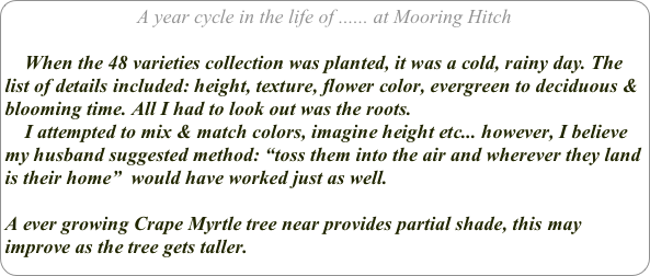 A year cycle in the life of ...... at Mooring Hitch

    When the 48 varieties collection was planted, it was a cold, rainy day. The list of details included: height, texture, flower color, evergreen to deciduous & blooming time. All I had to look out was the roots. 
    I attempted to mix & match colors, imagine height etc... however, I believe my husband suggested method: “toss them into the air and wherever they land is their home”  would have worked just as well.

A ever growing Crape Myrtle tree near provides partial shade, this may improve as the tree gets taller.
