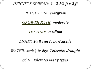 HEIGHT X SPREAD: 2 - 2 1/2 ft x 2 ft

PLANT TYPE: evergreen

GROWTH RATE: moderate

TEXTURE: medium 

LIGHT: Full sun to part shade

WATER: moist, to dry. Tolerates drought

SOIL: tolerates many types
