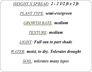 HEIGHT X SPREAD: 2 - 2 1/2 ft x 2 ft

PLANT TYPE: semi-evergreen

GROWTH RATE: medium

TEXTURE: medium

LIGHT: Full sun to part shade

WATER: moist, to dry. Tolerates drought

SOIL: tolerates many types
