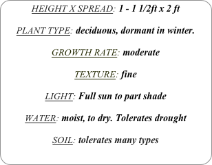HEIGHT X SPREAD: 1 - 1 1/2ft x 2 ft

PLANT TYPE: deciduous, dormant in winter.

GROWTH RATE: moderate

TEXTURE: fine

LIGHT: Full sun to part shade

WATER: moist, to dry. Tolerates drought

SOIL: tolerates many types
