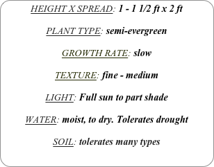 HEIGHT X SPREAD: 1 - 1 1/2 ft x 2 ft

PLANT TYPE: semi-evergreen

GROWTH RATE: slow

TEXTURE: fine - medium

LIGHT: Full sun to part shade

WATER: moist, to dry. Tolerates drought

SOIL: tolerates many types
