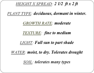 HEIGHT X SPREAD: 2 1/2  ft x 2 ft

PLANT TYPE: deciduous, dormant in winter.

GROWTH RATE: moderate

TEXTURE:  fine to medium

LIGHT: Full sun to part shade

WATER: moist, to dry. Tolerates drought

SOIL: tolerates many types
