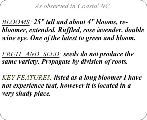 As observed in Coastal NC.

BLOOMS: 25” tall and about 4” blooms, re-bloomer, extended. Ruffled, rose lavender, double wine eye. One of the latest to green and bloom.

FRUIT  AND  SEED: seeds do not produce the same variety. Propagate by division of roots.

KEY FEATURES: listed as a long bloomer I have not experience that, however it is located in a very shady place.

